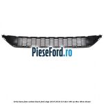 Grila bara fata carbon black Ford Edge 2016-2018 2.0 TDCi 180 cp