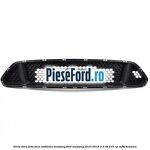 Grila bara fata fara emblema Mustang Ford Mustang 2015-2018 5.0 V8 418 cp