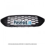 Grila bara fata Ford Puma 2020-2023 1.0 EcoBoost 95 cp