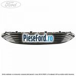 Grila radiator cu elemente cromate Ford Grand C-Max 2016-2020 1.0 EcoBoost 100 cp