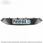 Grila radiator cu elemente cromate Ford Grand C-Max 2016-2020 1.0 EcoBoost 125 cp