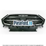 Grila radiator cu ornament cromat Ford EcoSport 2019-2023 1.0 EcoBoost 140 cp