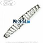 Grila radiator cu ornament cromat Ford Galaxy 2000-2006 1.9 TDI 150 cp
