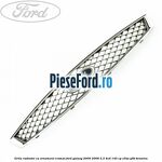 Grila radiator cu ornament cromat Ford Galaxy 2000-2006 2.3 4x4 145 cp