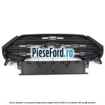 Grila radiator cu ornament negru Ford EcoSport 2019-2023 1.0 EcoBoost 100 cp