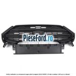 Grila radiator cu ornament negru Ford EcoSport 2019-2023 1.5 TDCi EcoBlue 120 cp