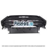Grila radiator cu ornament negru Ford EcoSport 2019-2023 1.5 TDCi EcoBlue 125 cp
