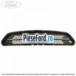 Grila radiator Ford Mustang, editie 50 ani Ford Mustang 2015-2018 2.3 EcoBoost 314 cp