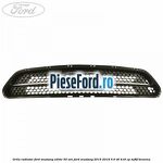 Grila radiator Ford Mustang, editie 50 ani Ford Mustang 2015-2018 5.0 V8 418 cp
