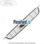 Grila radiator gri Ford Focus 2008-2011 1.8 TDCi 115 cp