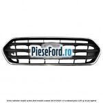 Grila radiator model Active Ford Transit Custom 2019-2023 1.0 EcoBoost PHEV 125 cp
