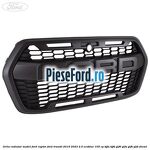 Grila radiator model Ford Raptor Ford Transit 2019-2023 2.0 EcoBlue 105 cp