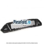 Grila radiator model GT Ford Mustang 2018-2022 5.0 V8 450 cp