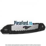 Grila radiator model GT grilat Ford Mustang 2018-2022 5.0 V8 450 cp