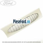 Grila radiator primerizata Ford Fiesta 1996-2001 1.25 i 16V 75 cp