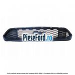Grila radiator primerizata Ford Mustang 2018-2022 2.3 EcoBoost 290 cp