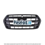 Grila radiator standard Ford Transit 2019-2023 2.0 EcoBlue RWD 105 cp
