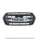 Grila radiator standard Ford Transit 2019-2023 2.0 EcoBlue RWD 165 cp
