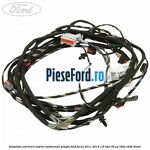 Instalatie electrica lumini ambientale plafon Ford Focus 2011-2014 1.6 TDCi 95 cp