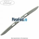 Maner hayon Ford Fusion 1.3 60 cp