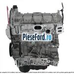 Motor complet 2.0 EcoBlue RWD euro 6.2 Panther Ford Transit 2019-2023 2.0 EcoBlue RWD 130 cp