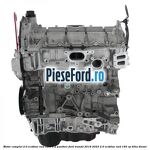 Motor complet 2.0 EcoBlue RWD euro 6.2 Panther Ford Transit 2019-2023 2.0 EcoBlue RWD 165 cp