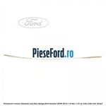 Ornament cromat Titanium usa fata stanga Ford Mondeo 2008-2014 1.6 TDCi 115 cp