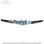 Ornament maner usa fata stanga interior Ford EcoSport 2019-2023 1.0 EcoBoost 100 cp