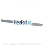 Protectie usa dreapta spate Ford S-Max 2015-2023 2.0 TDCi 180 cp