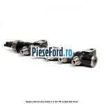 Rampa injectie Ford Fusion 1.4 TDCi 68 cp
