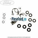 Set oring injector Ford Focus 2014-2018 2.3 RS 350 cp