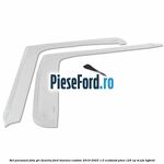 Set paravant fata, gri deschis Ford Tourneo Custom 2019-2023 1.0 EcoBoost PHEV 125 cp