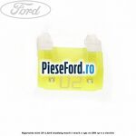 Siguranta mini 20 A Ford Mustang Mach-E MACH-E (CGW) EV 286 cp