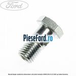 Surub banjo conducta alimentare ulei Ford Mondeo 2008-2014 2.5 220 cp