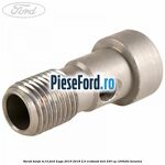 Surub banjo M14 Ford Kuga 2016-2018 2.0 EcoBoost 4x4 230 cp C20HDTX benzina