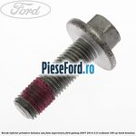 Surub inferior prindere balama usa fata superioara Ford Galaxy 2007-2014 2.0 EcoBoost 199 cp