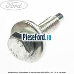 Surub prindere balama hayon 20 mm Ford Fiesta 2013-2017 1.5 TDCi 100 cp