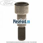 Surub turbosuflanta tip banjo Ford Focus 2008-2011 2.0 TDCi 110 cp
