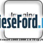 Transport Ford Escort 1995-1998 1.4 75 cp