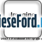 Transport Ford Fiesta 2017-2023 1.0 EcoBoost 101 cp