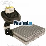 Vaporizator Ford Mondeo 2008-2014 2.0 145 cp